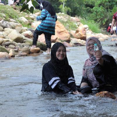 Picnic 174